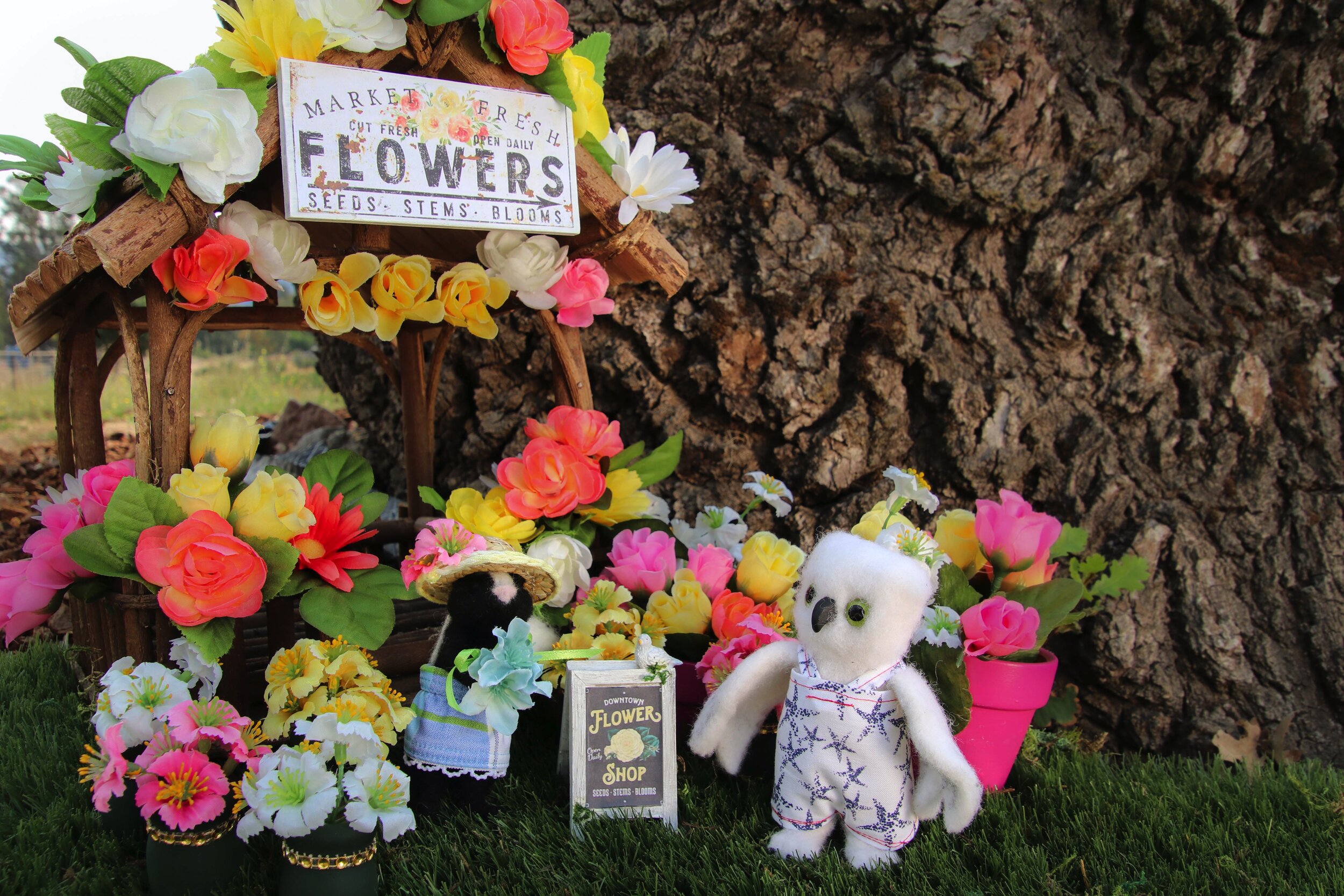 Image 5-26-21 at 2.15 PM.jpeg