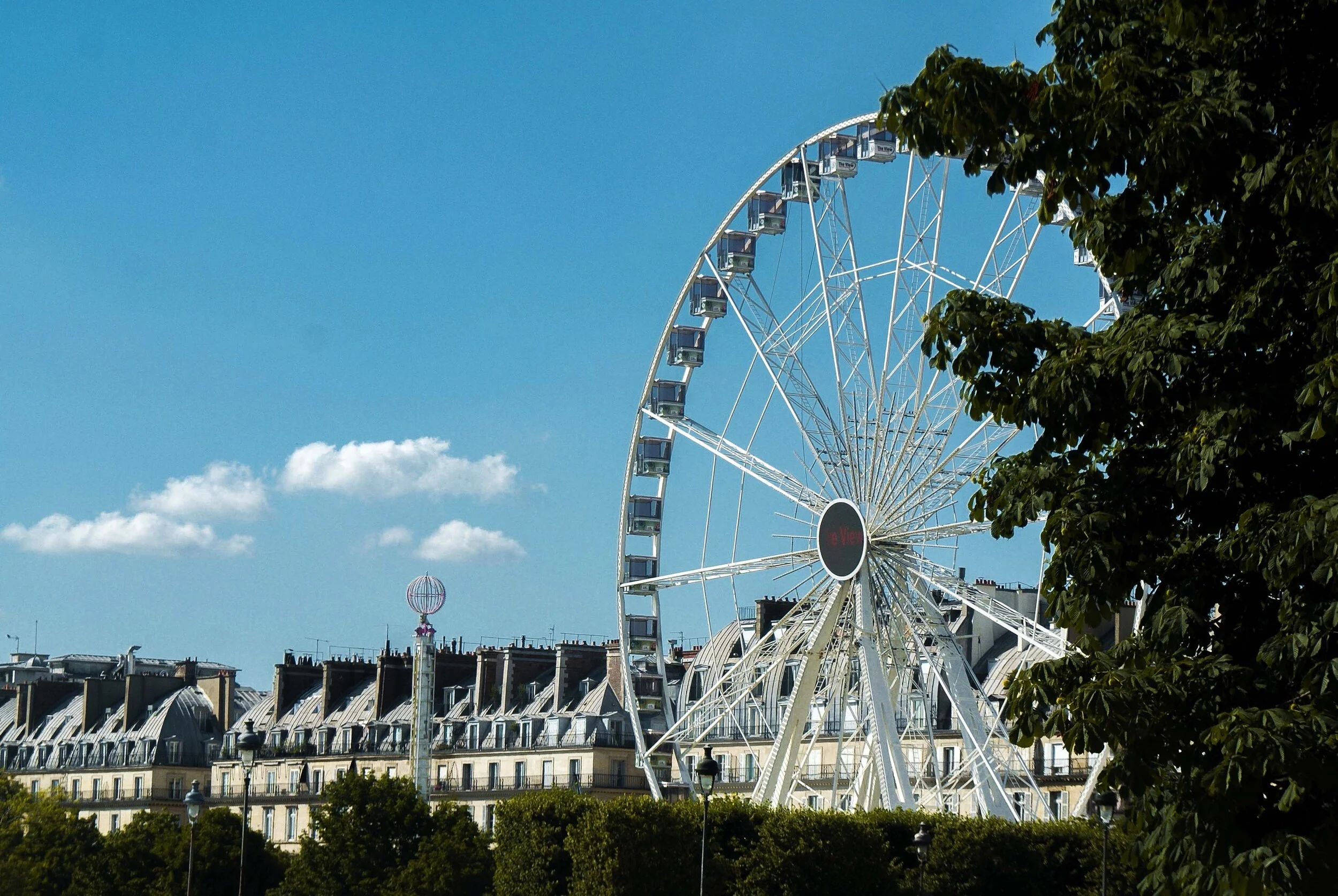 Image 4-26-20 at 8.51 PM.jpeg