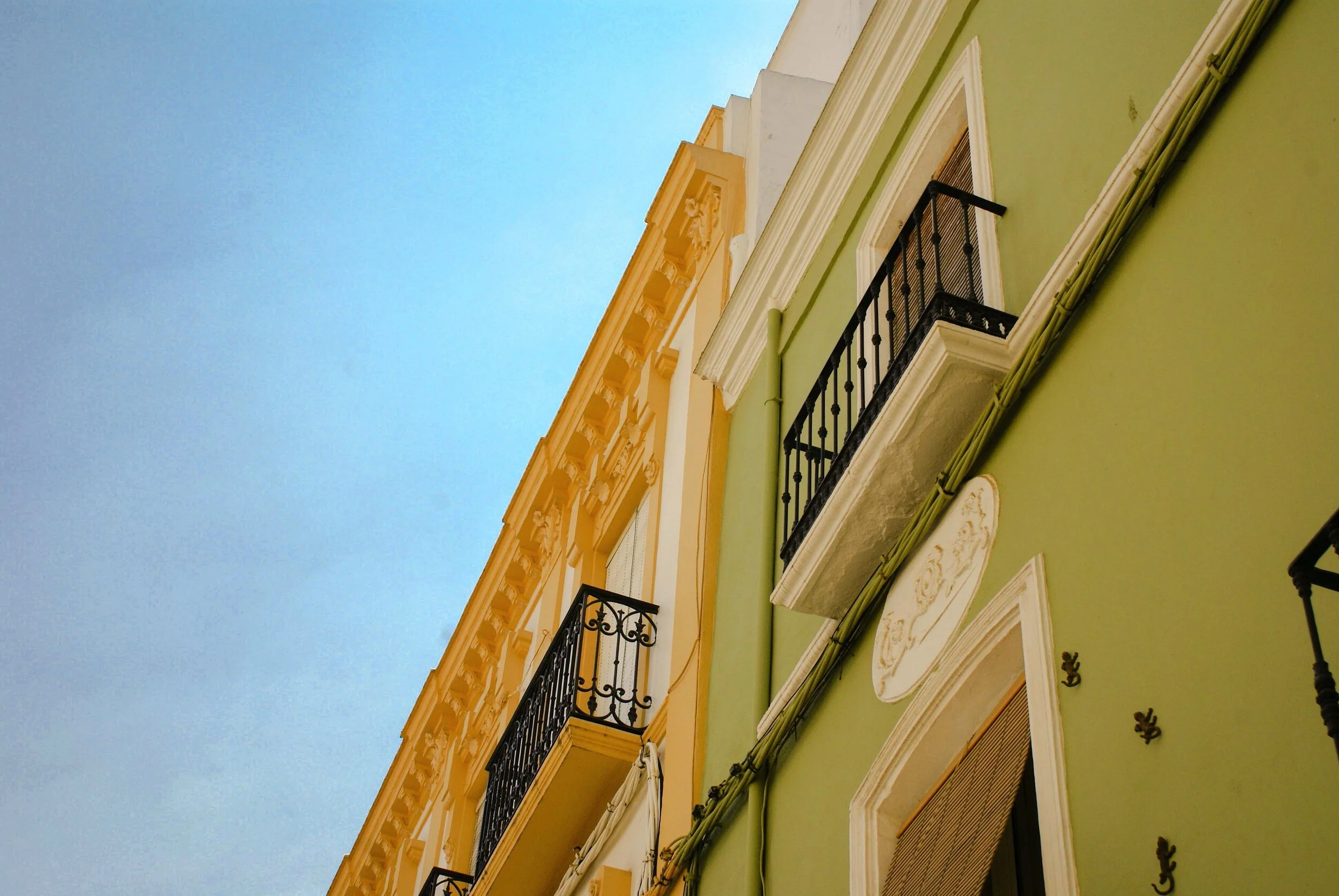 Image 5-25-21 at 5.14 PM.jpeg