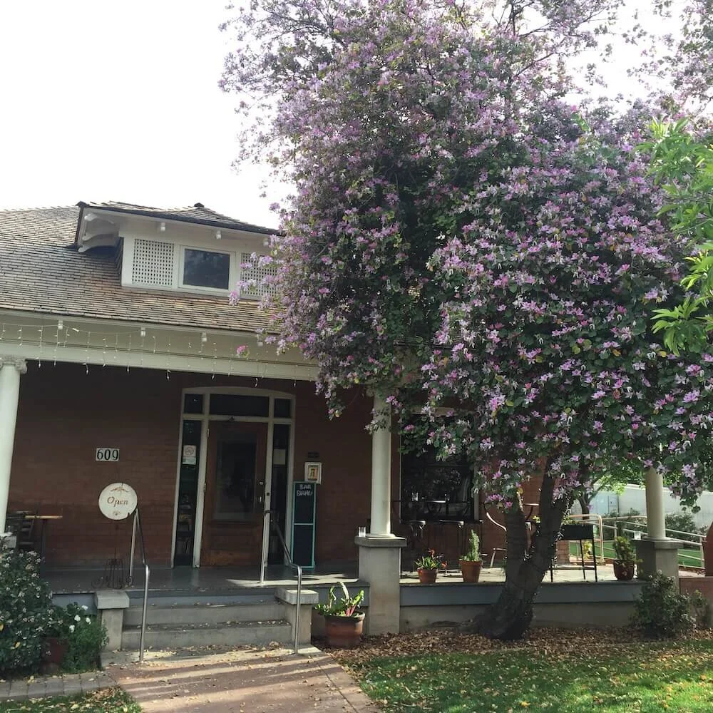 Bar Bianco Heritage Square — Pizzeria Bianco