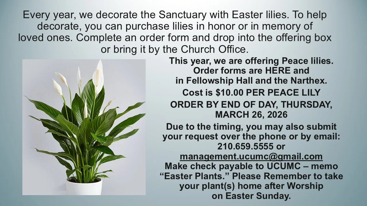 Easter Plants Slide_260322.jpg