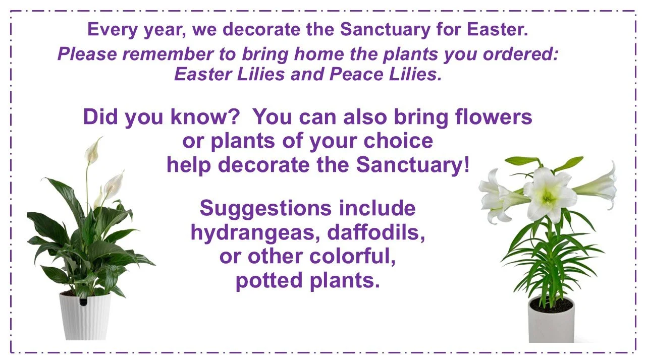 Easter Plants and Flowers 2026_2.jpg