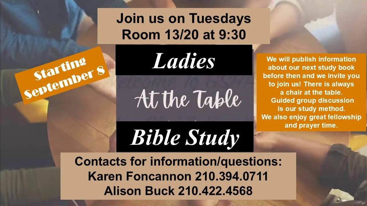 Ladies at the Table Bible Study_280809.jpg