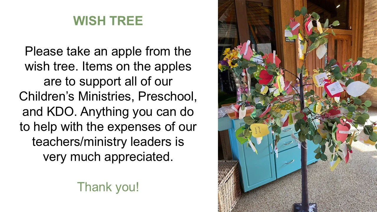 WIsh Tree 260830.jpg