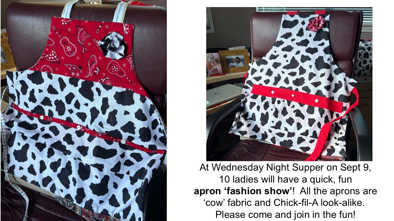 Apron Fashion Show Sept 2026.jpg