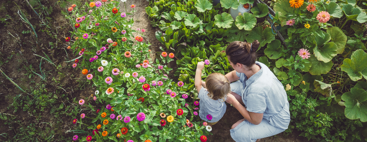 Springtime Gardening Tips by Region