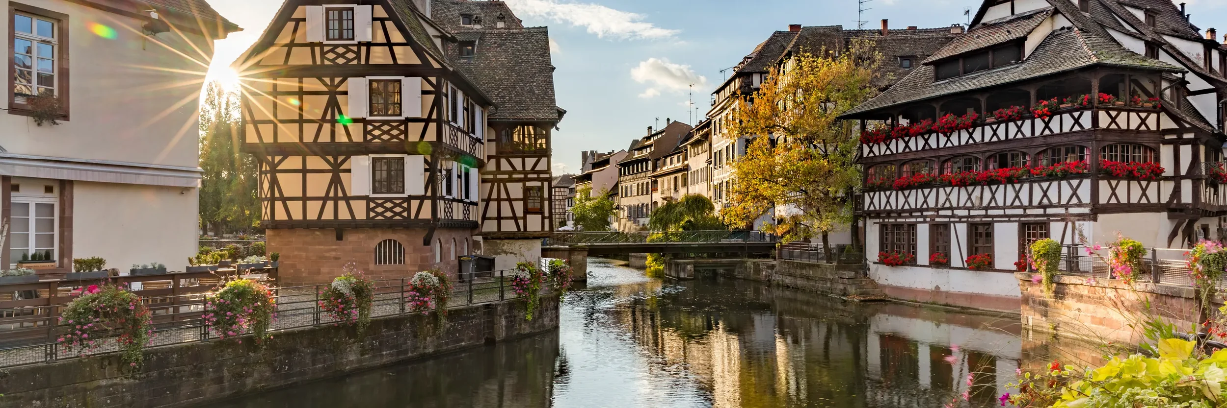 No Travel Bucket List?