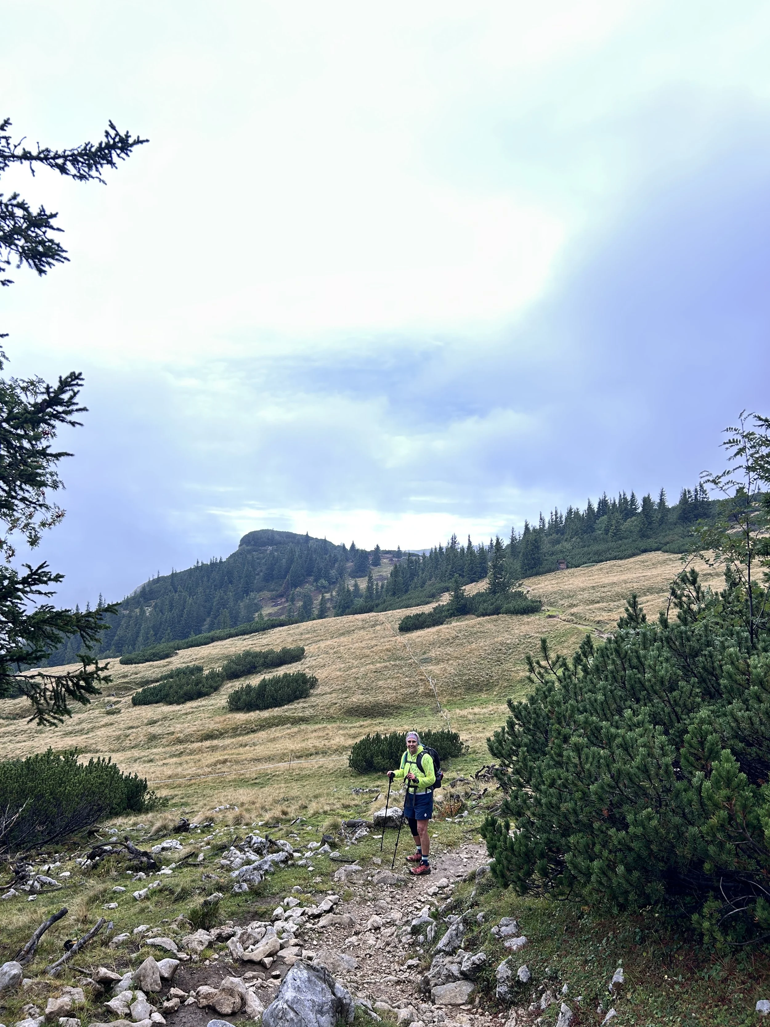 Hiker on trail
