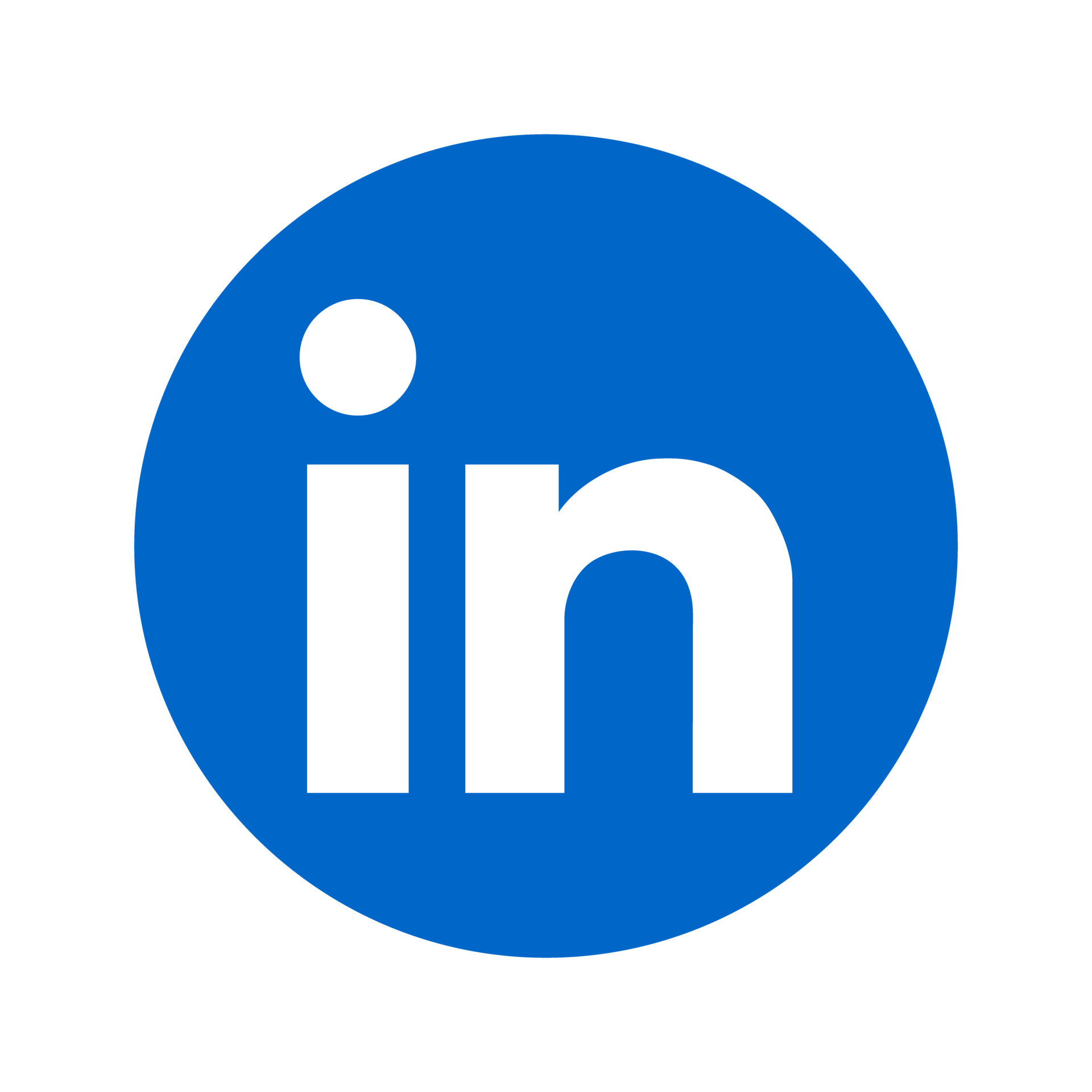 Shoelace Creative Linkedin Ads Management