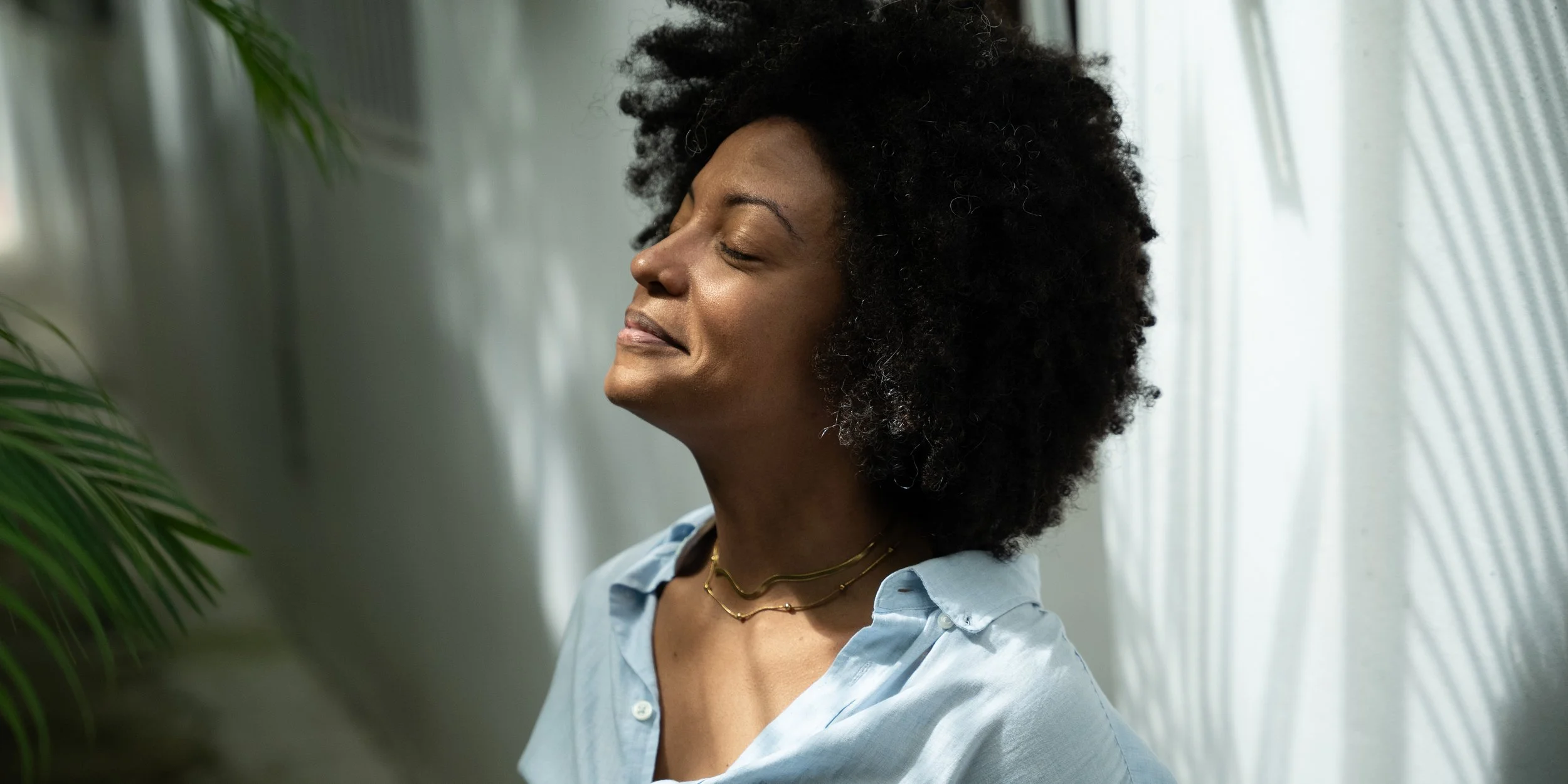 Rest Nest . 10-Week Container