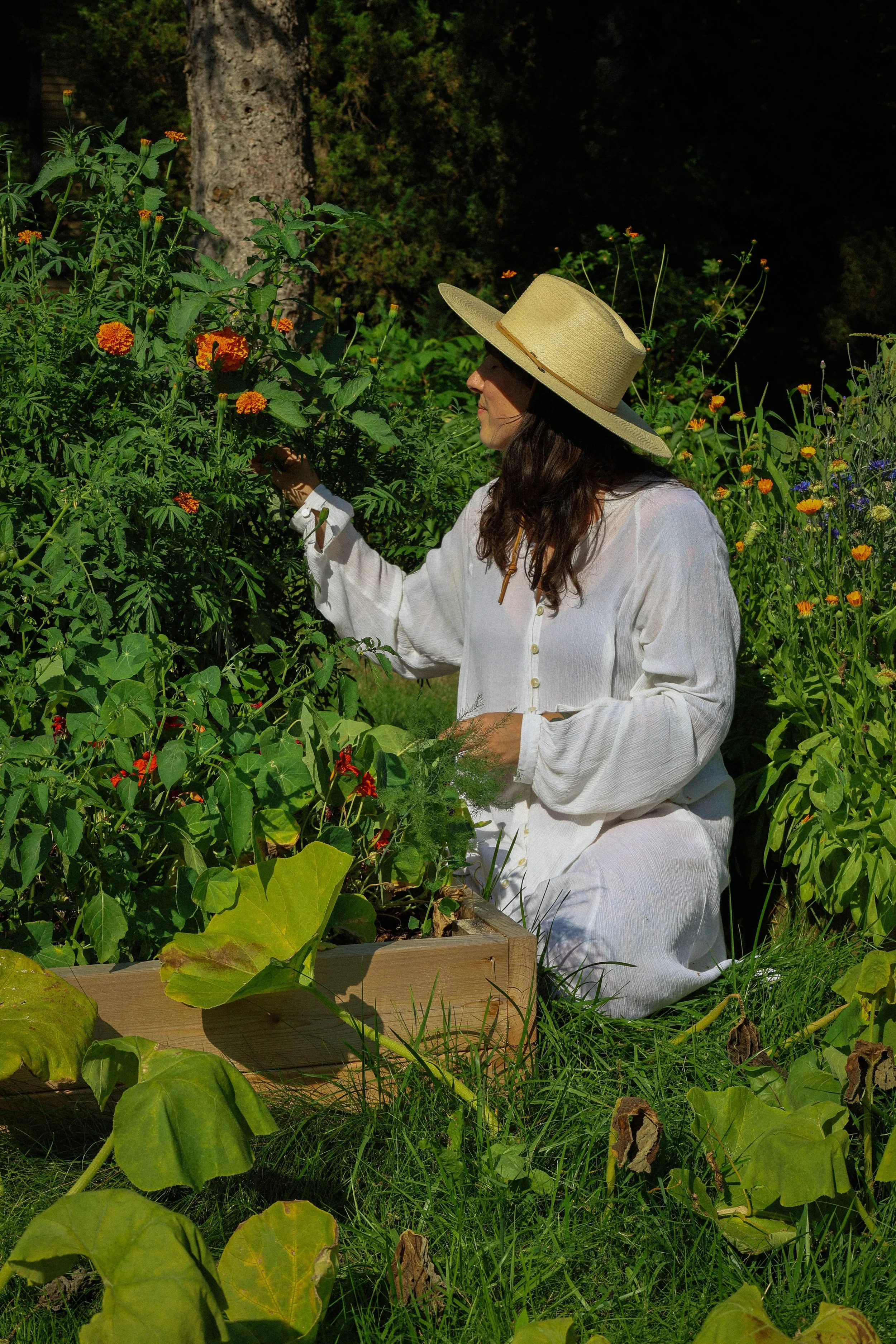 Sobriety to Skincare: Crafting The Luminary