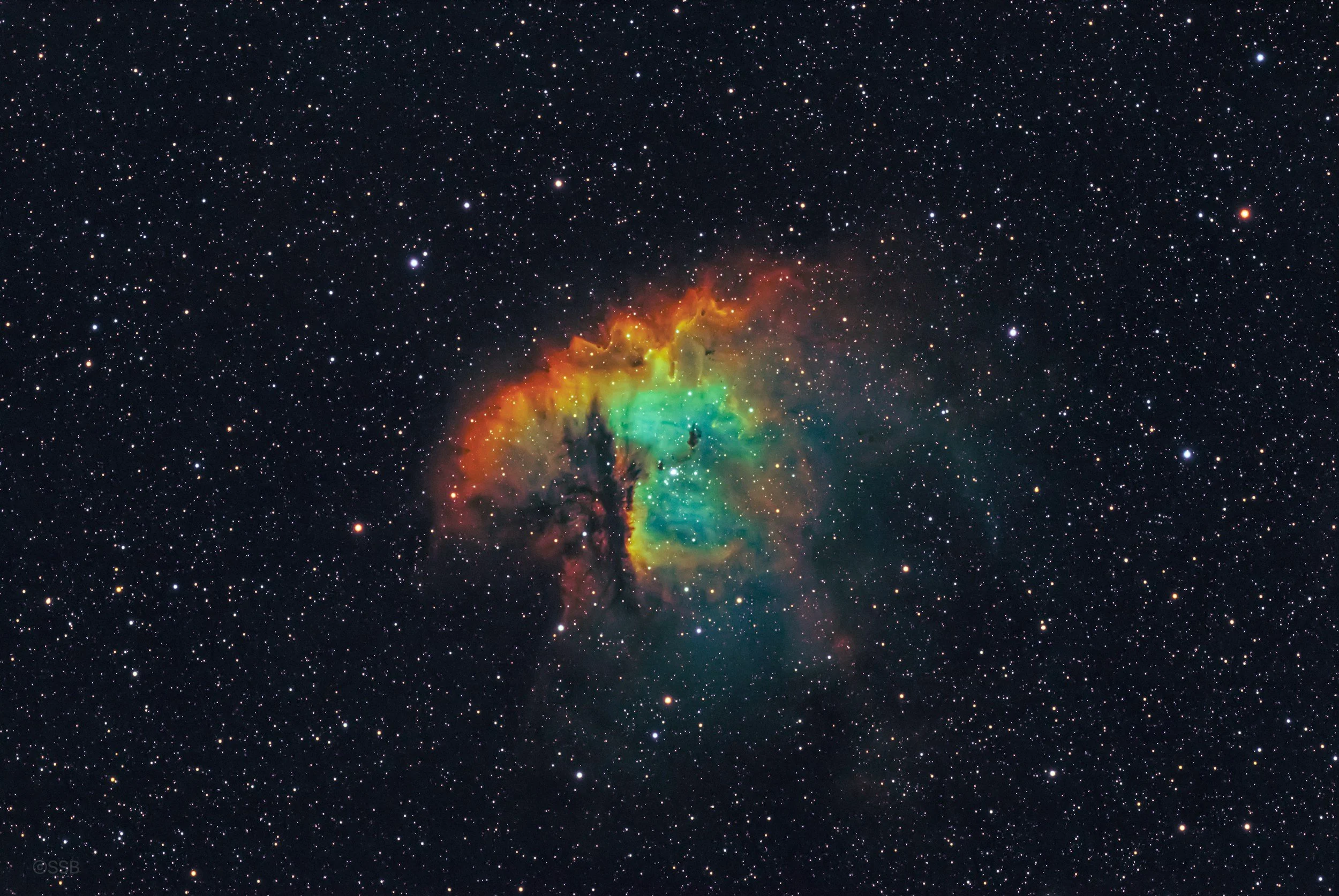 Fractional Marketing and Brand Strategy that touches every part of your universe