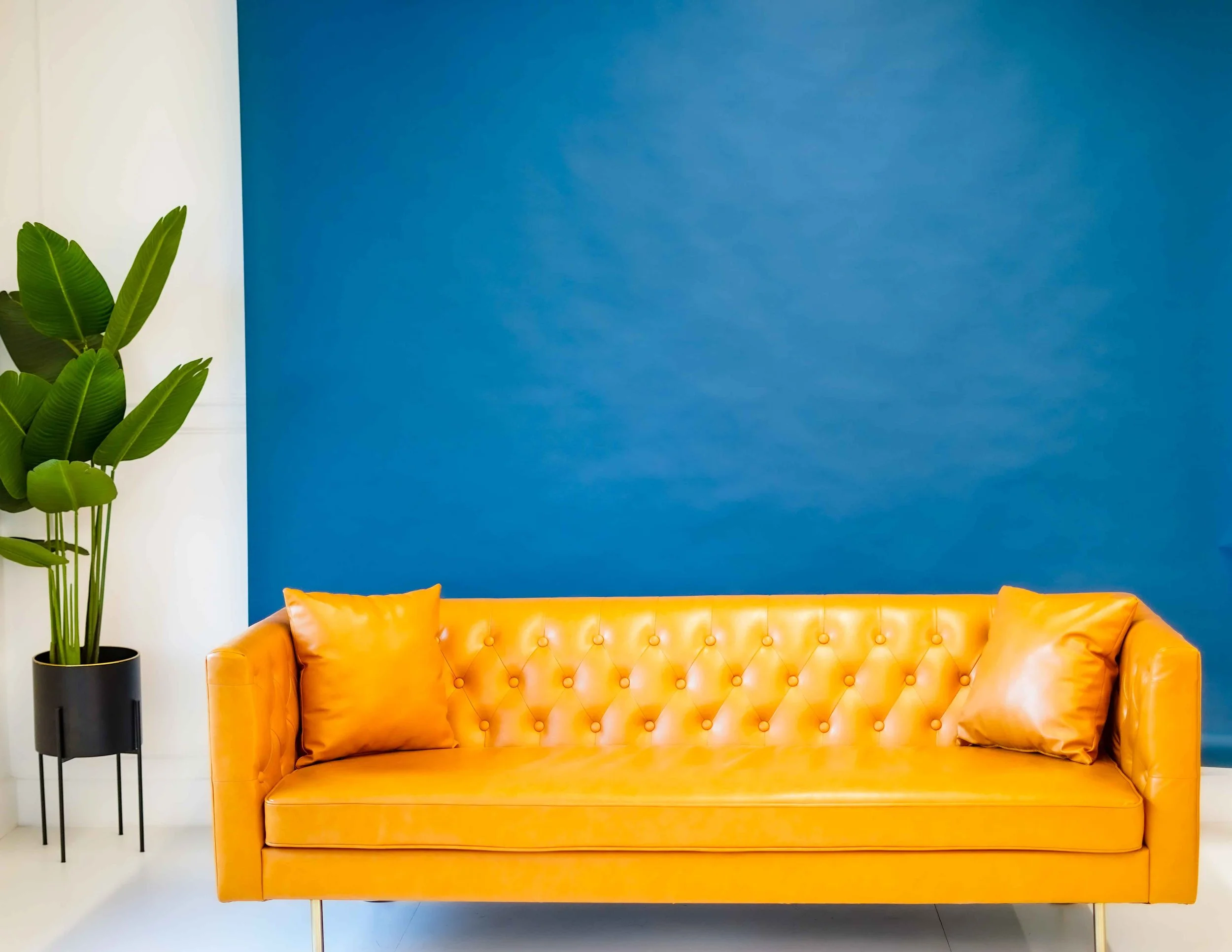 Our Dallas Photography studio is a Natural light photography studio in North Dallas with a white wall setup available for rent near Farmers Branch and Plano. Our modern photography studio located in North Dallas, is available for rent for photographe