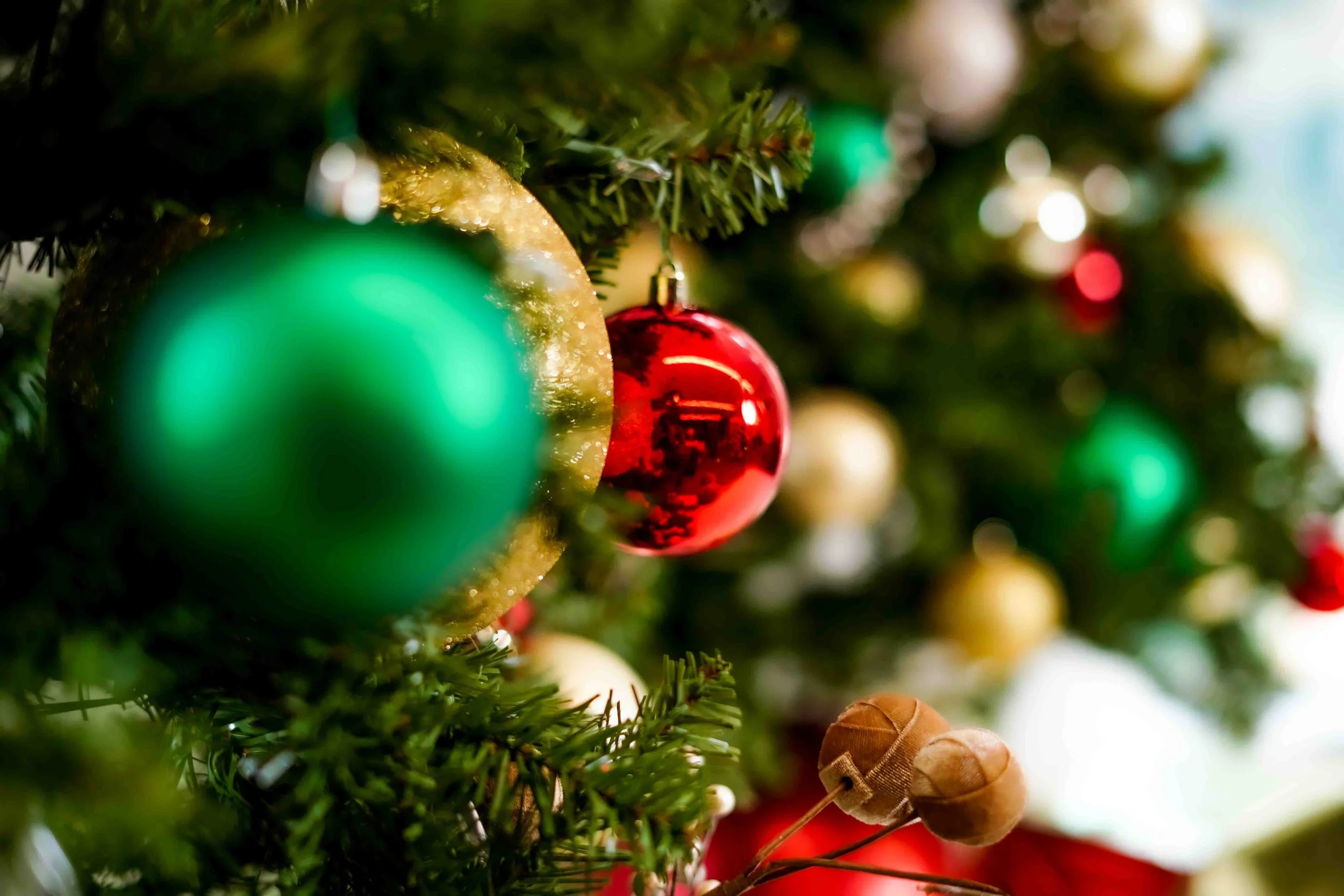 Make This Christmas One You’ll Never Forget: Family Holiday Sessions Are Here
