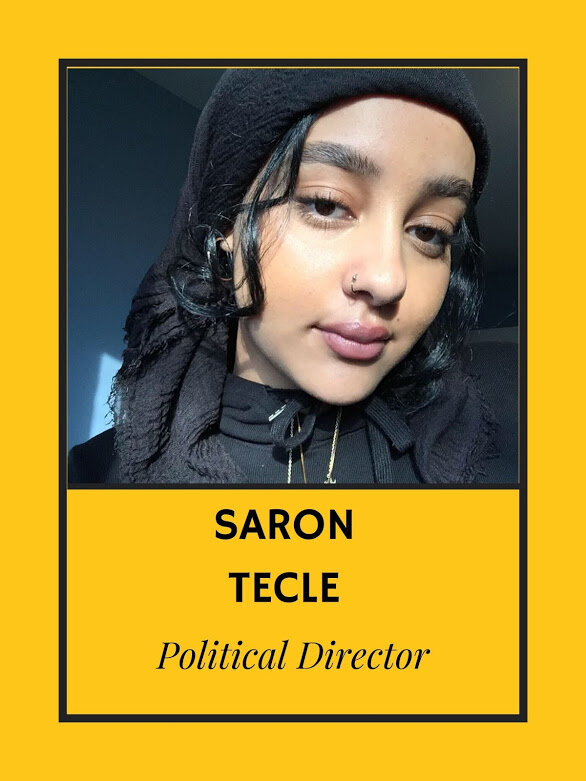 Political Director