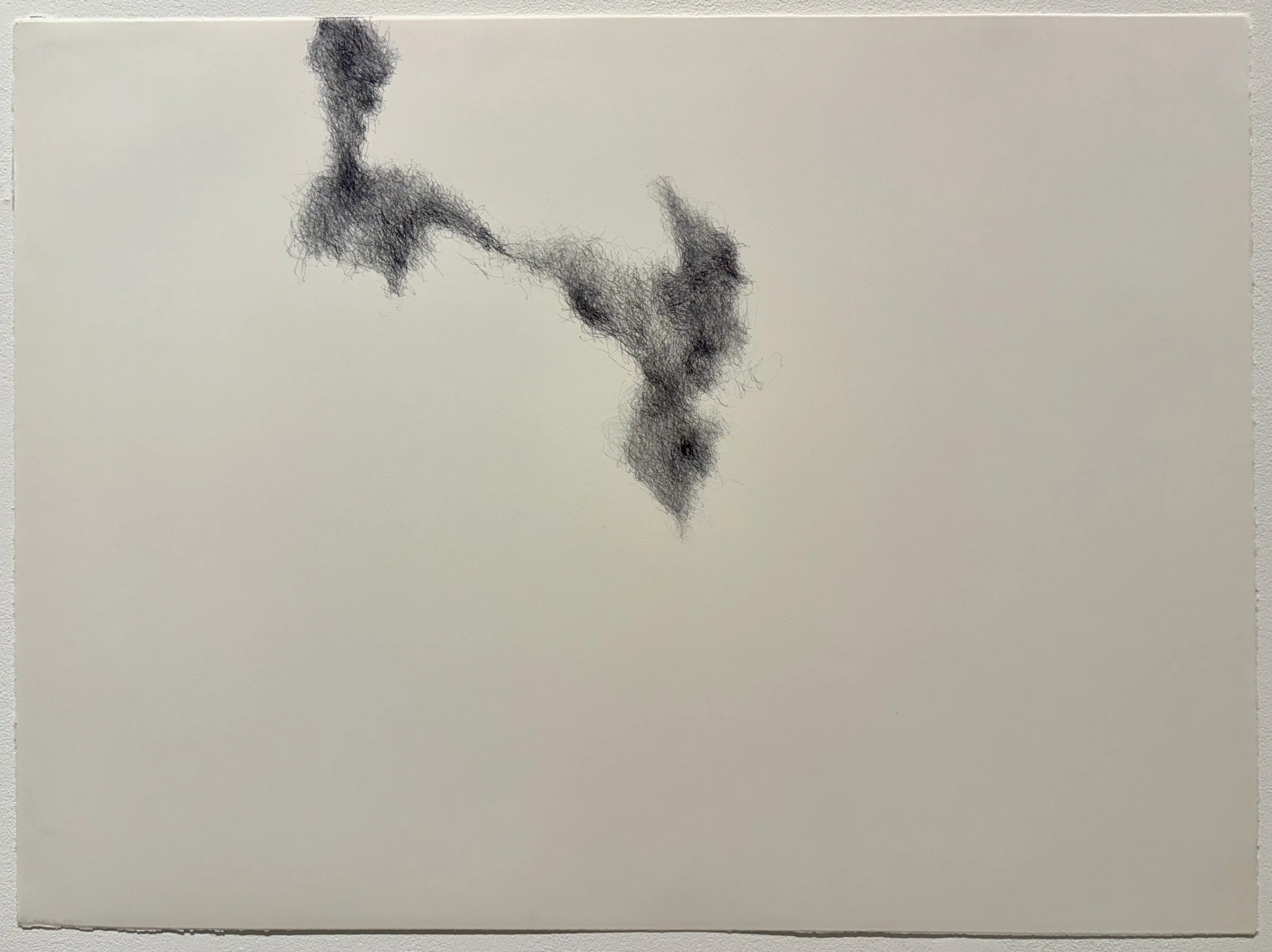 Reluctantly attached, 2026, pen on paper, 22x30 in.