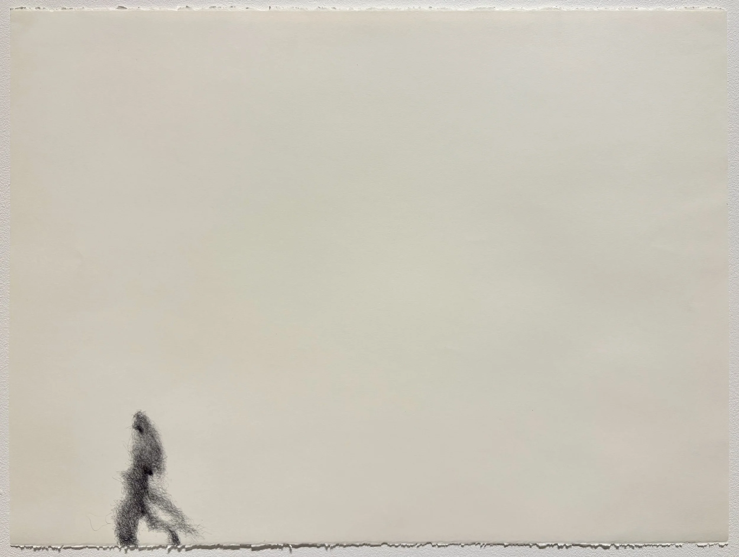 Wandering, 2026, pen on paper, 22x30 in.