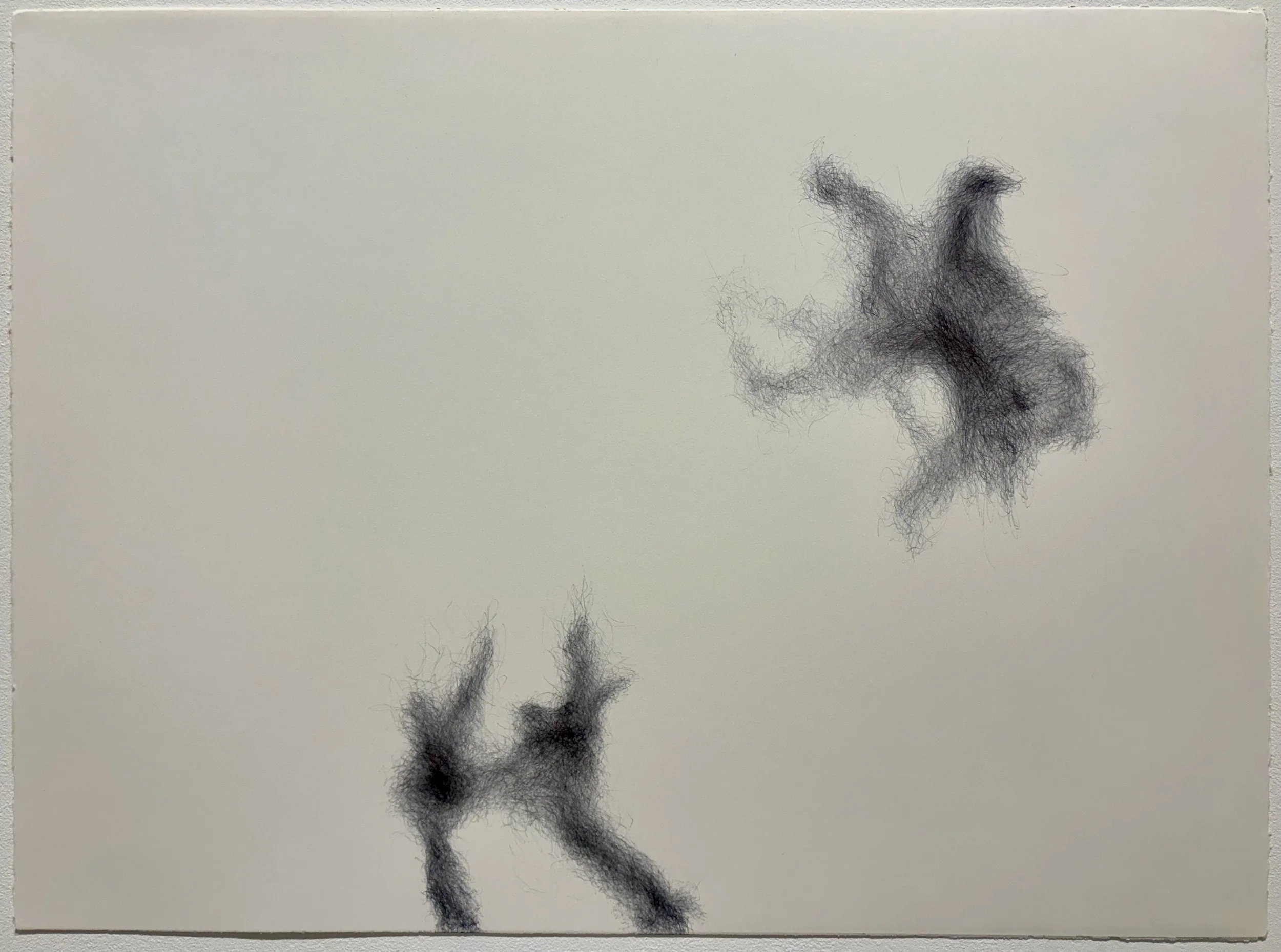 In foreign lands, 2026, pen on paper, 22x30 in.
