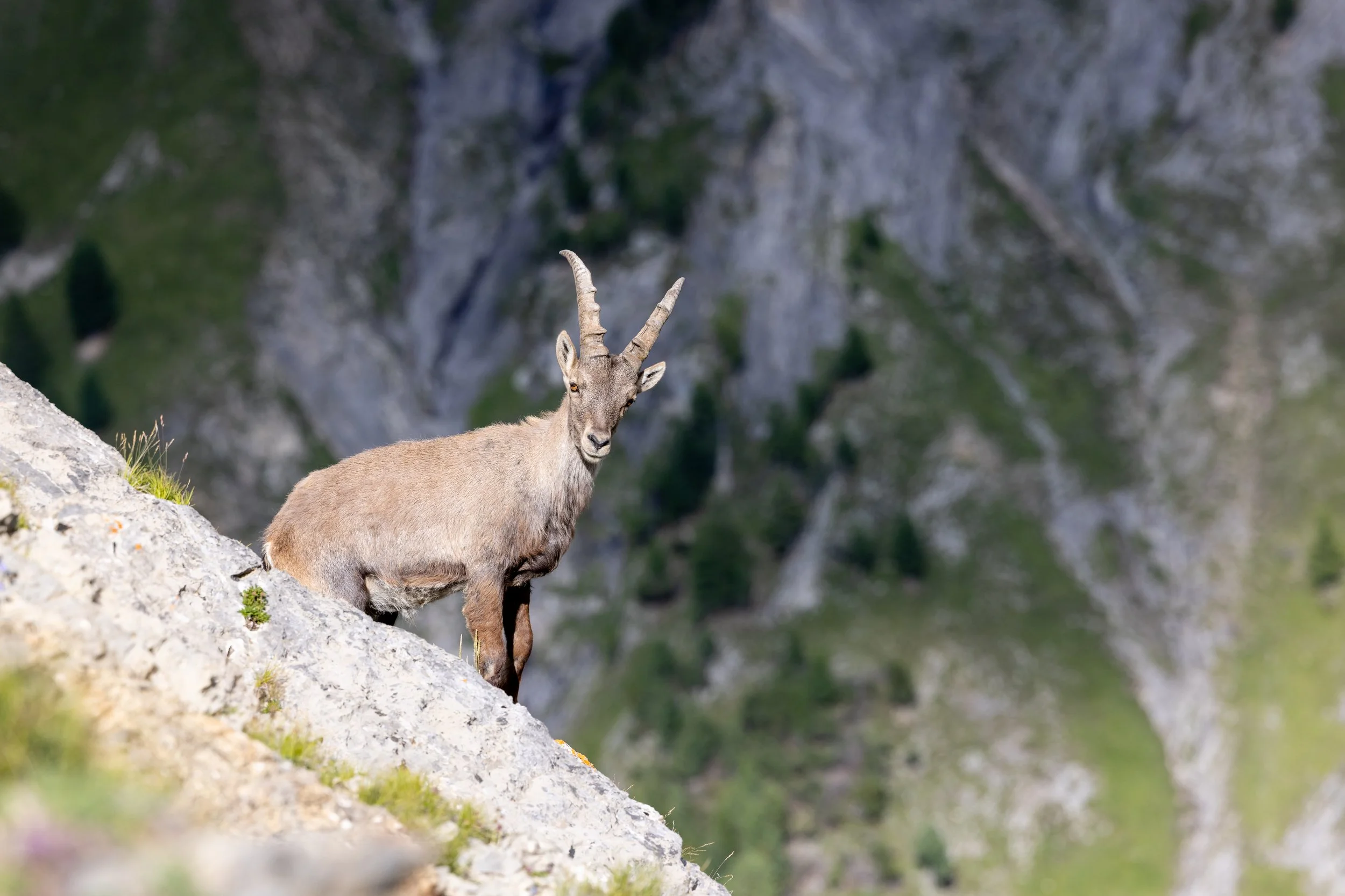 S.Confortola_OutventureLivigno_ESTATE_ARRAMPICATA_38.jpg