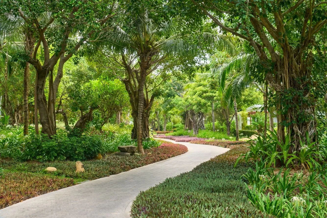 Lush Garden Pathway