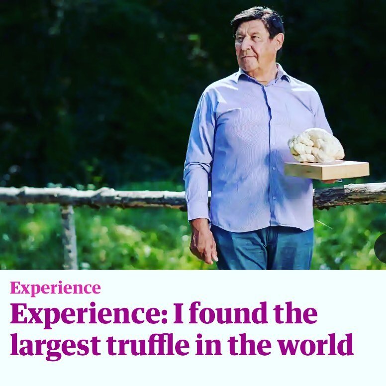 In the middle of the night, Giancarlo Zigante unearthed the largest truffle in the world (the size of a human brain) in the forests of Istria, Croatia, alongside his trusty truffle dog, Diana - and went on to share the highly prized fungi with his co