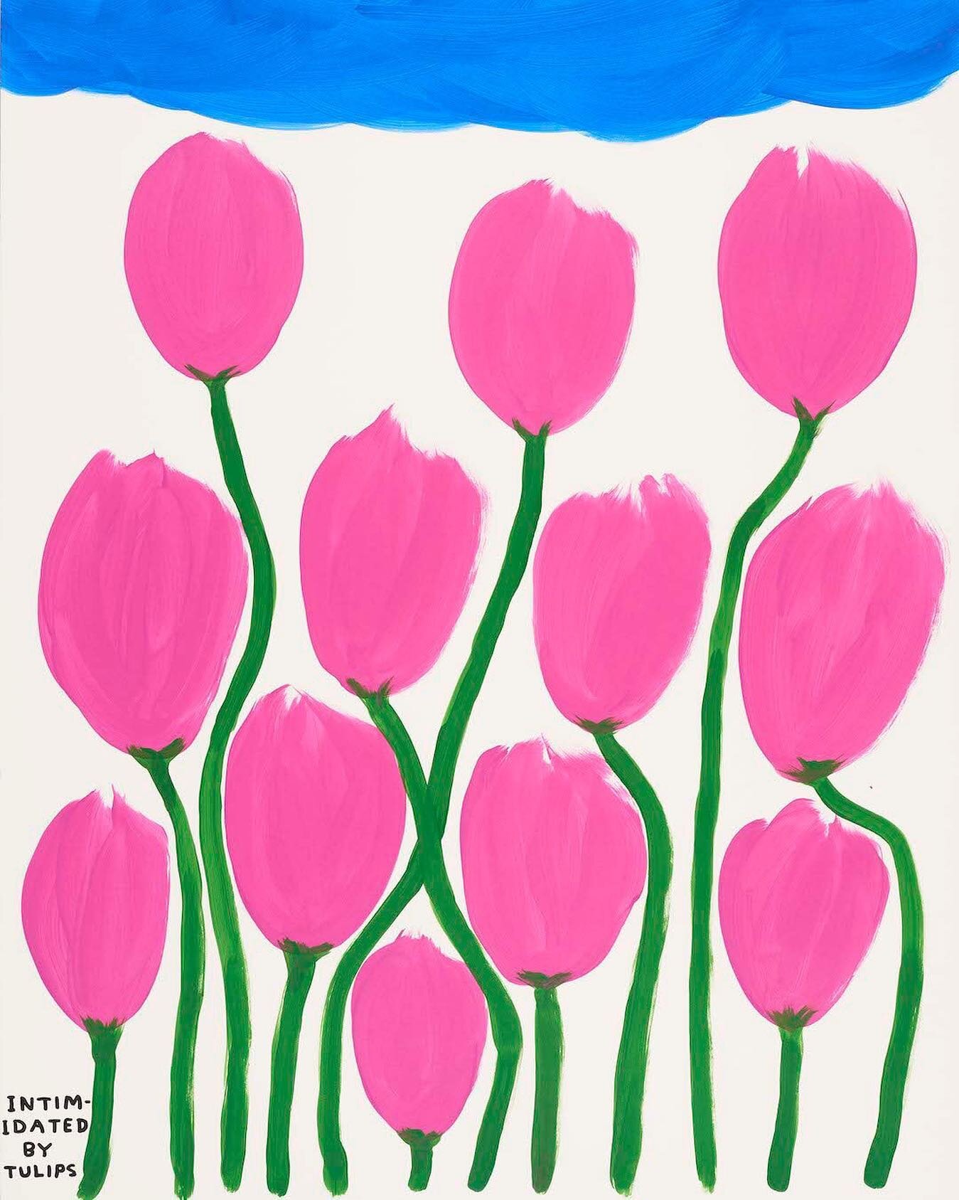 Tulips by @davidshrigley 🌷🌷🌷