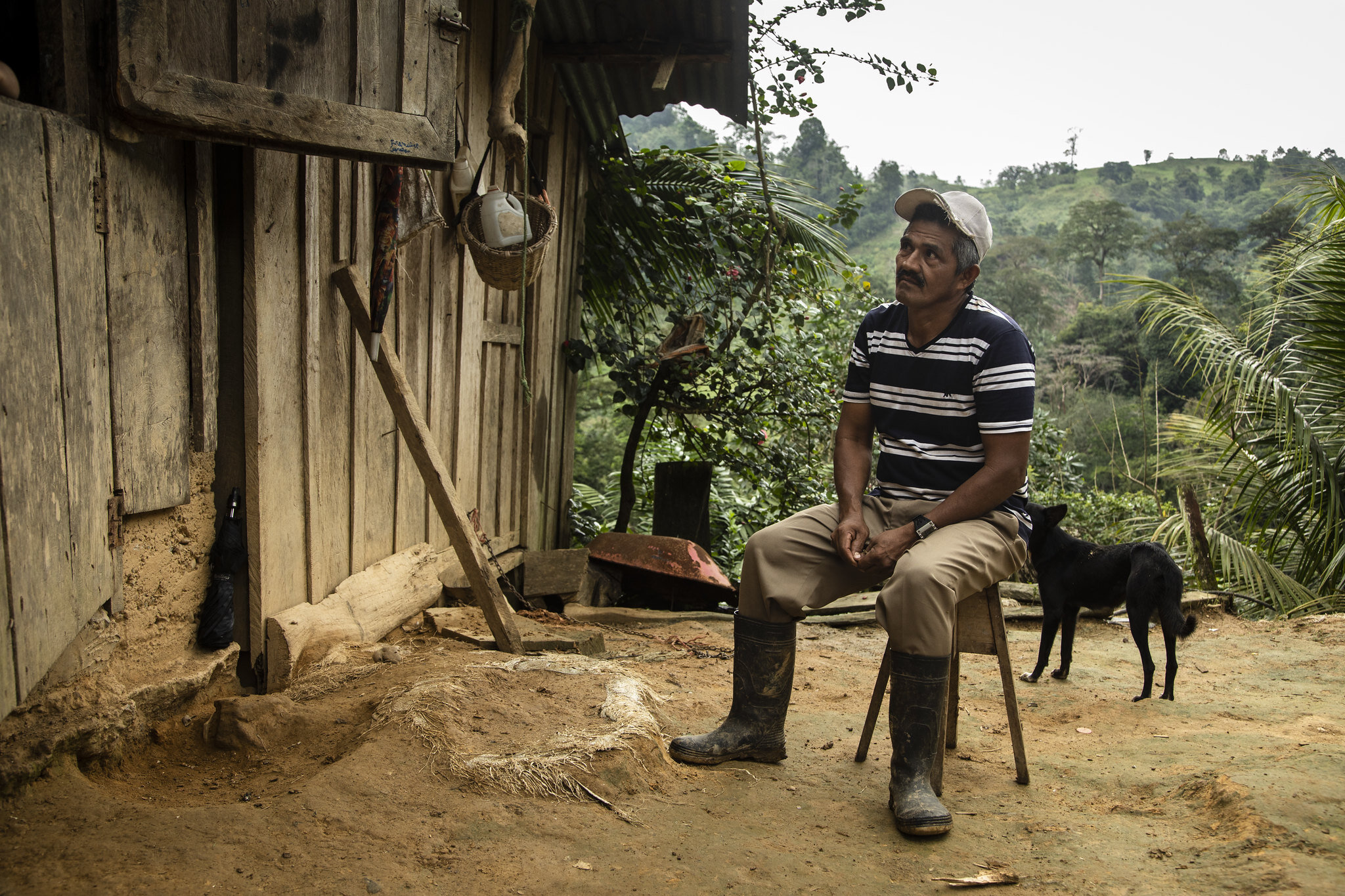 Economic and social rights