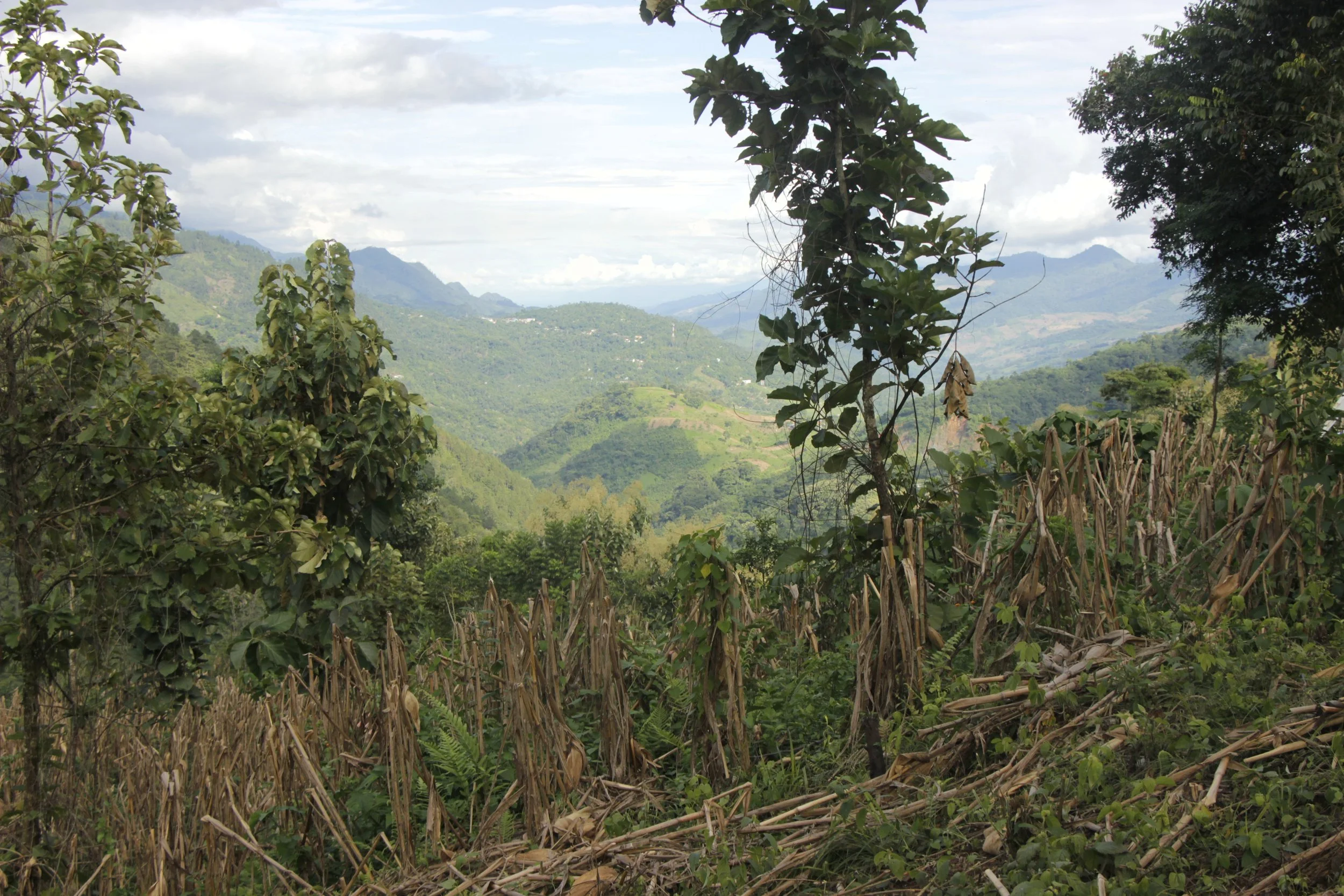 Human Rights Defenders: Climate's First Responders, Most Under Threat