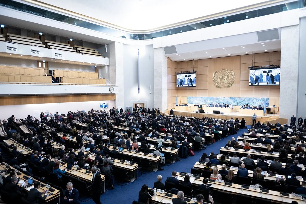 The UK at the Human Rights Council &amp; Next Steps in Business and Human Rights