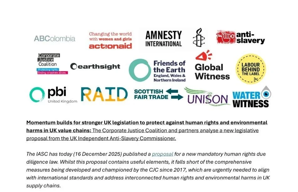 Collection of logos for various human rights and environmental organizations, including Amnesty International, Anti-Slavery, Friends of the Earth, Global Witness, and others, related to UK legislation and advocacy.