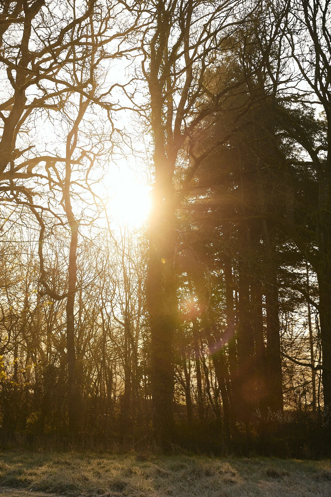 KATIELEONARD-PERSONAL-26 28.jpg