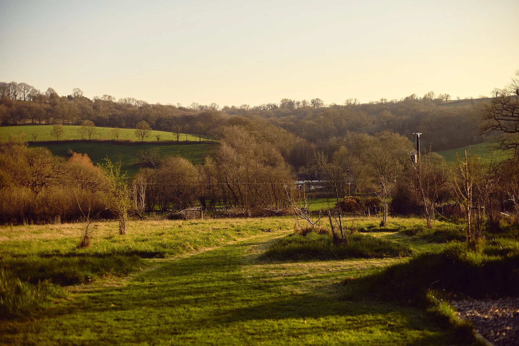 KATIELEONARD-PERSONAL-26 15.jpg