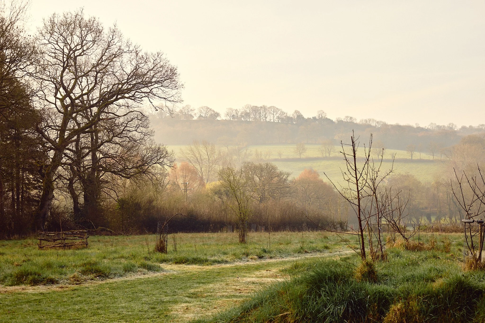 KATIELEONARD-PERSONAL-26 18.jpg