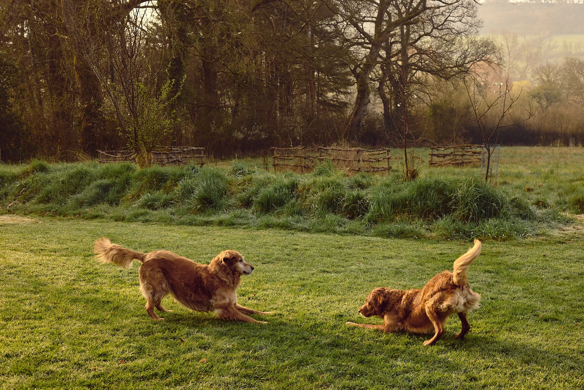 KATIELEONARD-PERSONAL-26 17.jpg