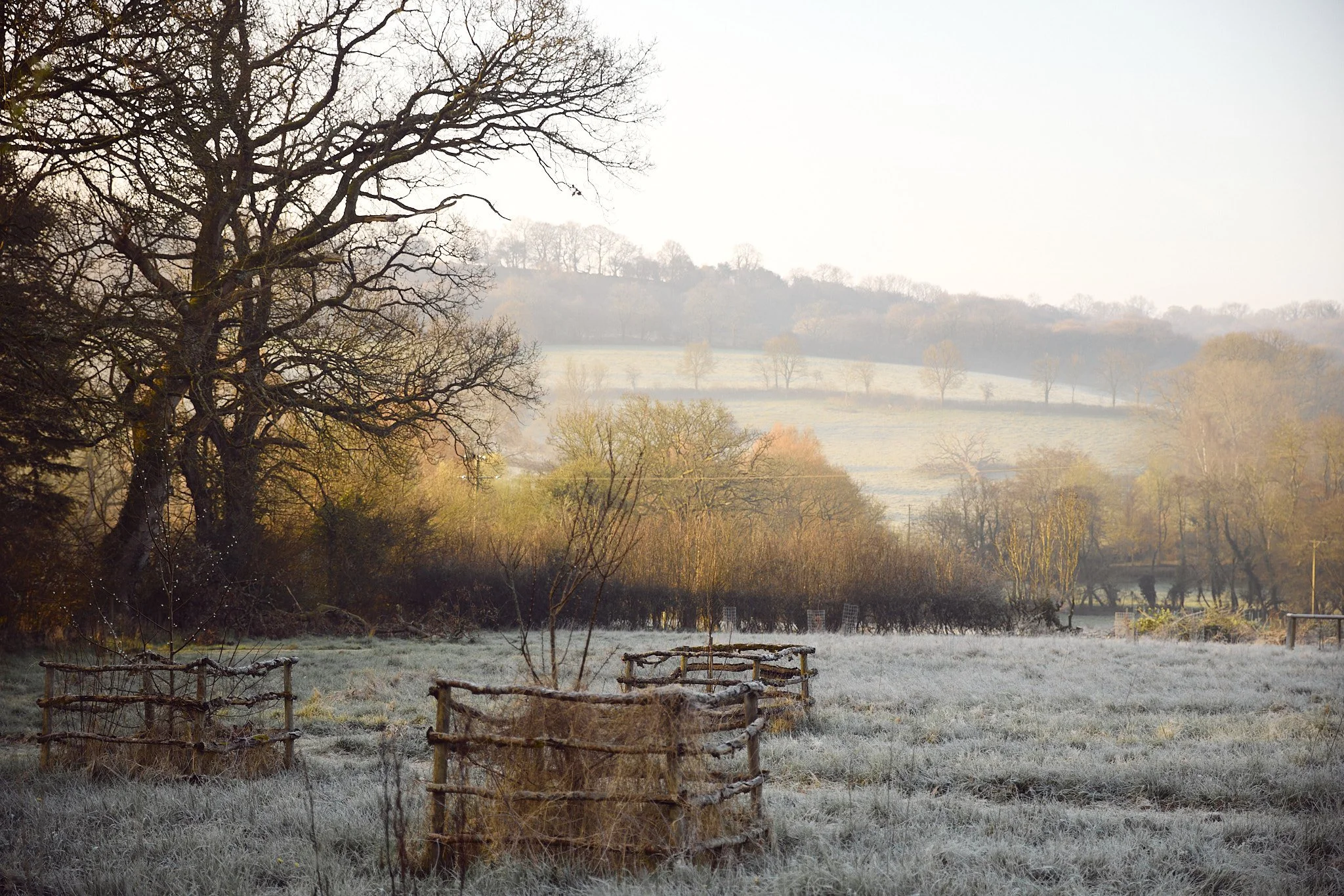 KATIELEONARD-PERSONAL-26 25.jpg