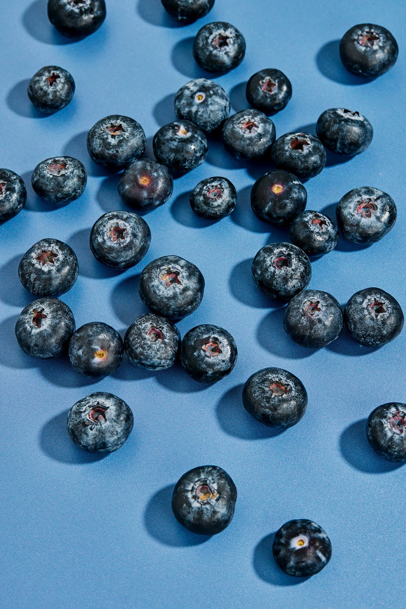 FRUITIST-JAN26 1.jpg