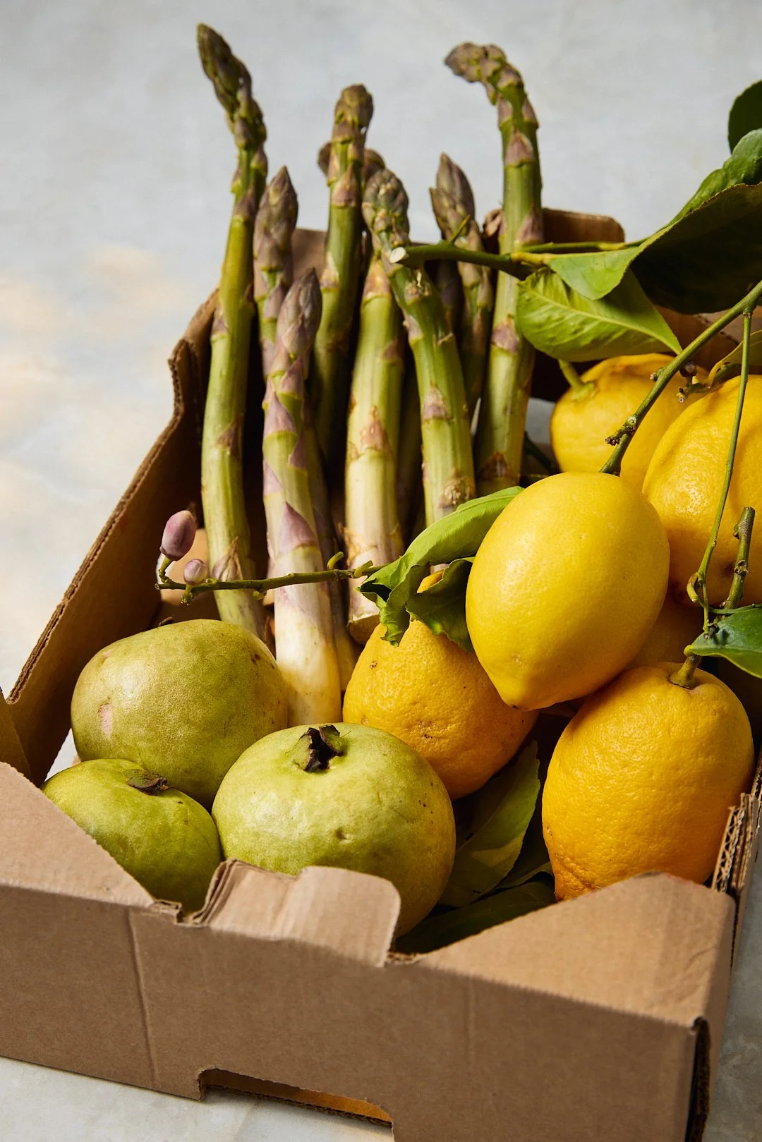 FOOD_PERSONAL_20266299.jpg