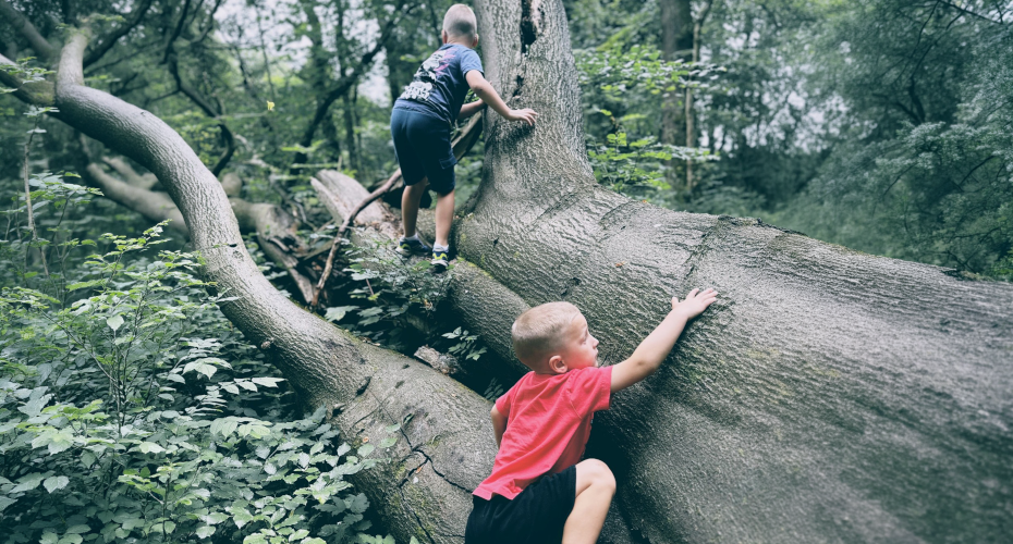 British Children’s Play Survey exposes the generational gap in children’s freedom to play