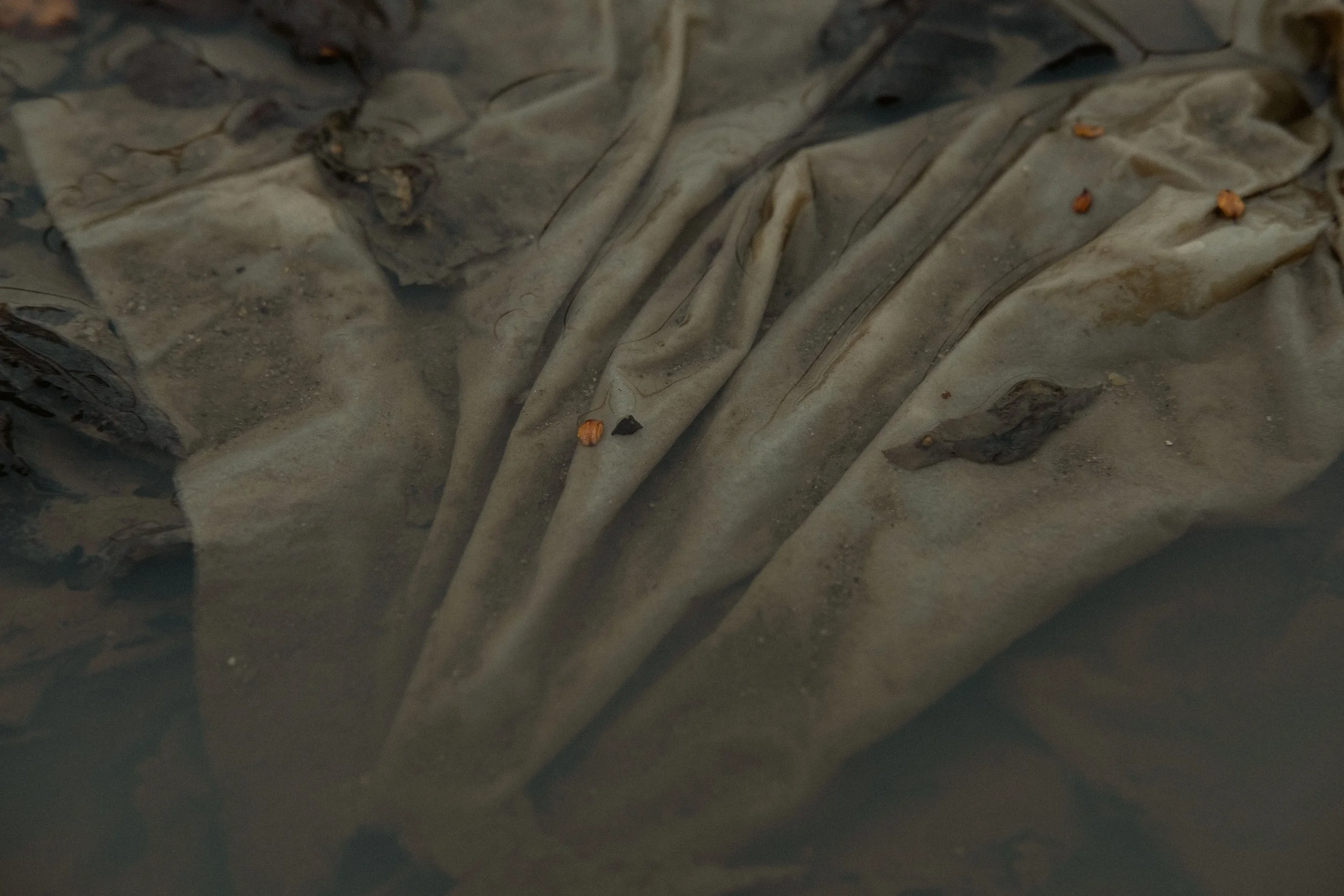 walking pieschen (4).jpg