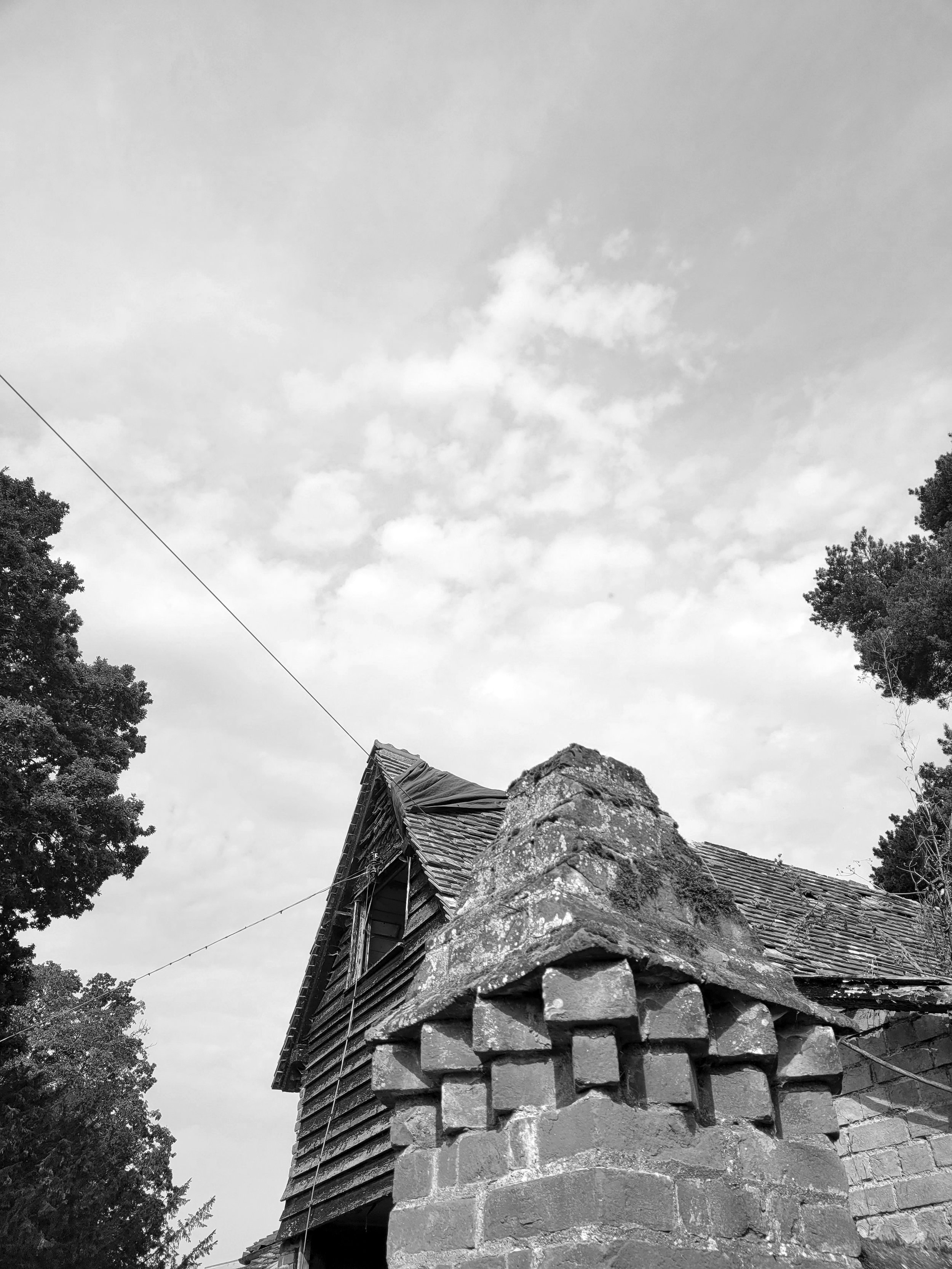 20230908_104000 BW.jpg