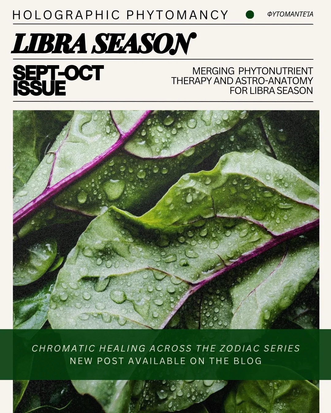🌿Chromatic Healing Across the Zodiac: Libra Season.
--
Merging Chromotherapy, Phytonutrient Therapy, Astro-Colors, Astro-Anatomy, and Magic.
--
This blog post is published on both the main blog and Substack, and all resources and research citations 