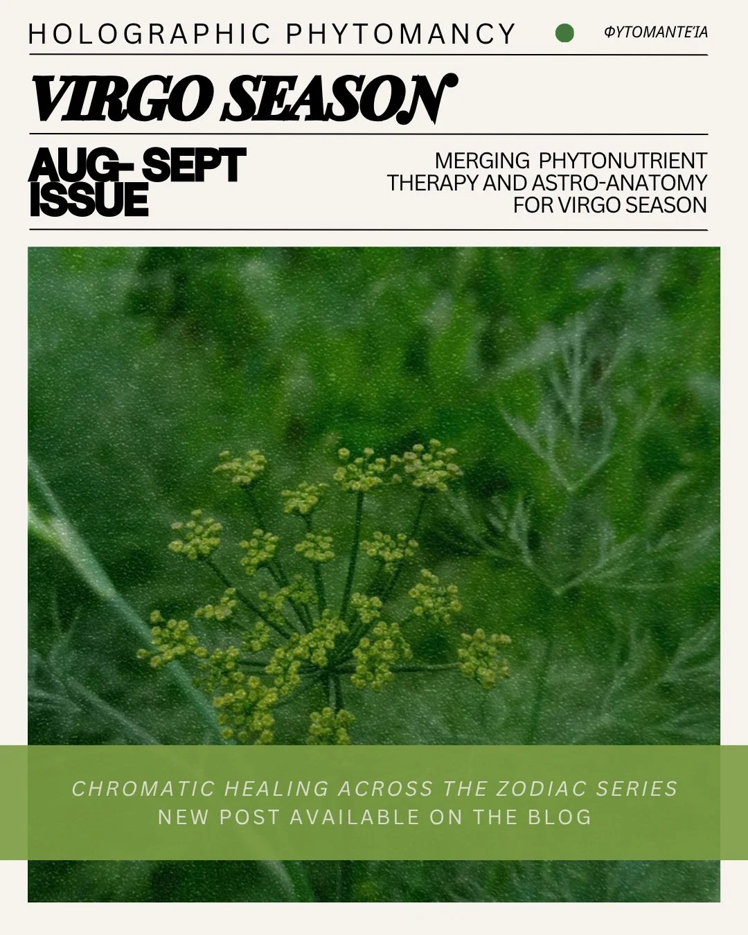 Chromatic Healing Across the Zodiac 🥝🍏 Phytonutrient Therapy, Holistic Healing, and Astro-Anatomy for Virgo Season (Aug 22 - Sept 22)
--
We are in the yellow-green spectrum of the zodiac (see slides for more information).
--
This month, we are focu