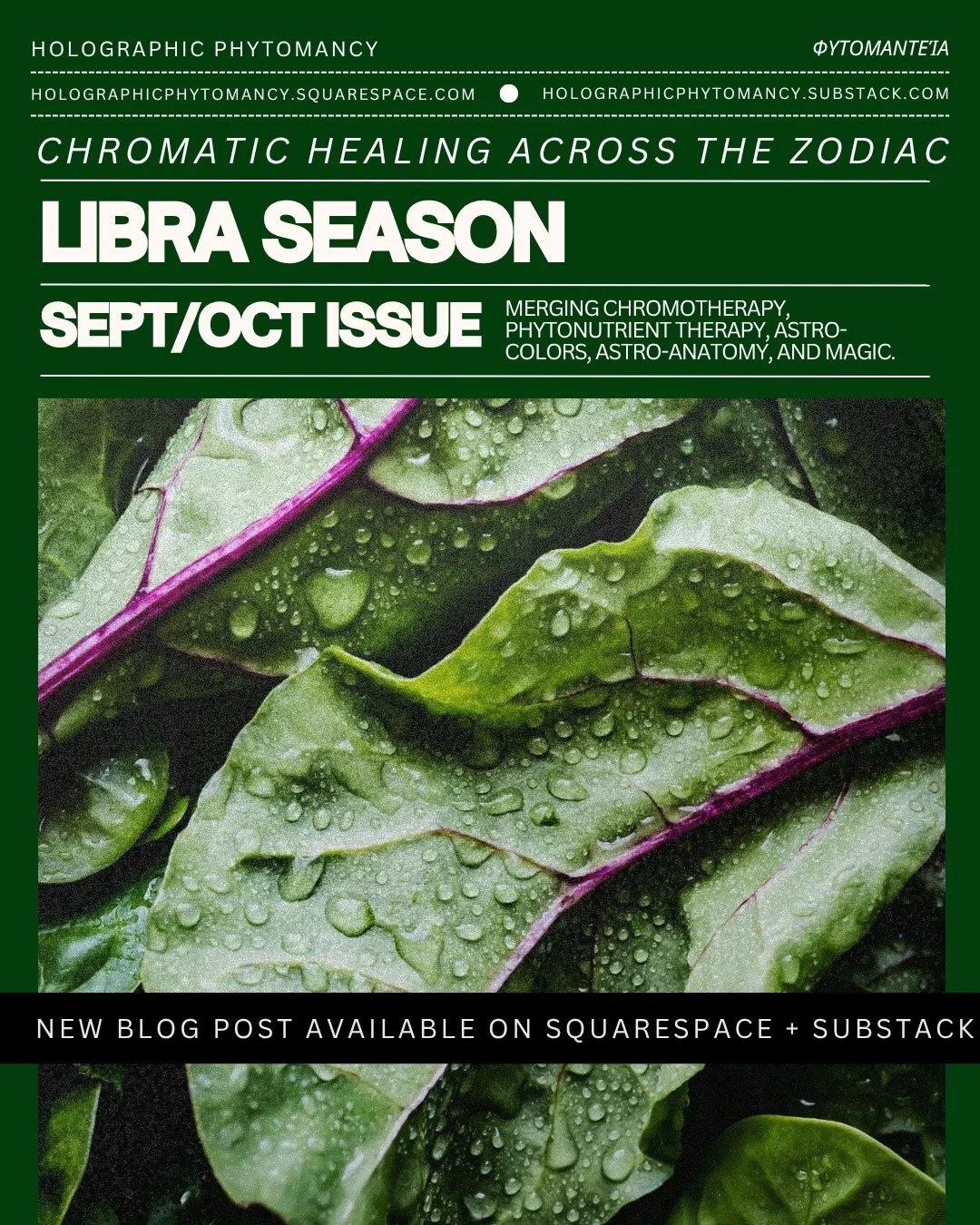 🌿Chromatic Healing Across the Zodiac: Libra Season.
--
Merging Chromotherapy, Phytonutrient Therapy, Astro-Colors, Astro-Anatomy, and Magic.
--
Blog post published on both the main blog and Substack.
--
All resources and research citing can be found