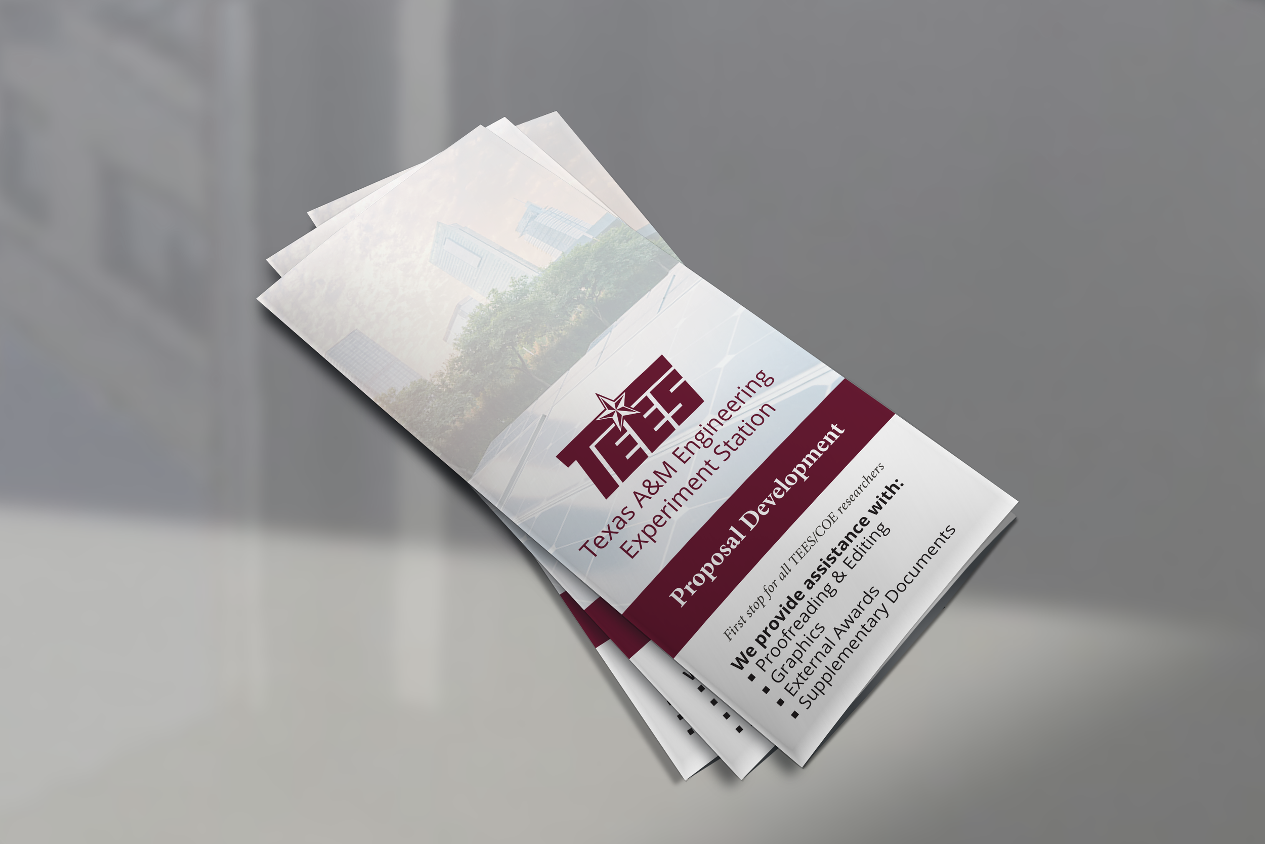 TEES Front Brochure.png