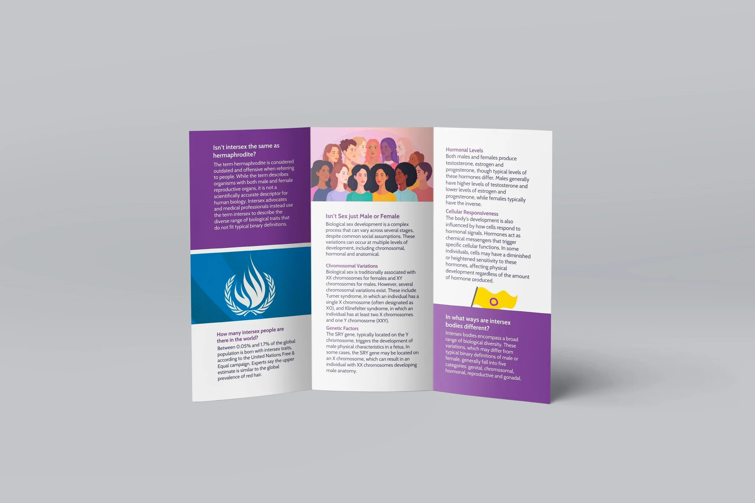 Intersex 2026 Brochure Inside.jpg