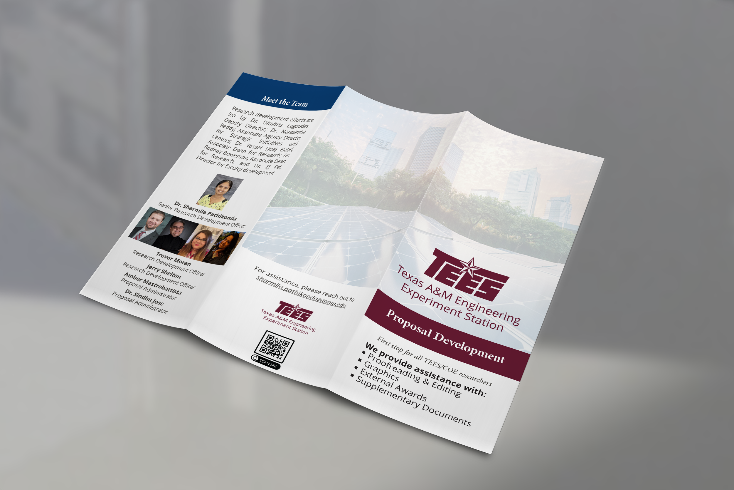 TEES Back Brochure.png