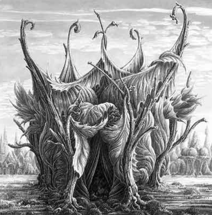 Capture d’écran 2026-02-17 à 06.30.24.png