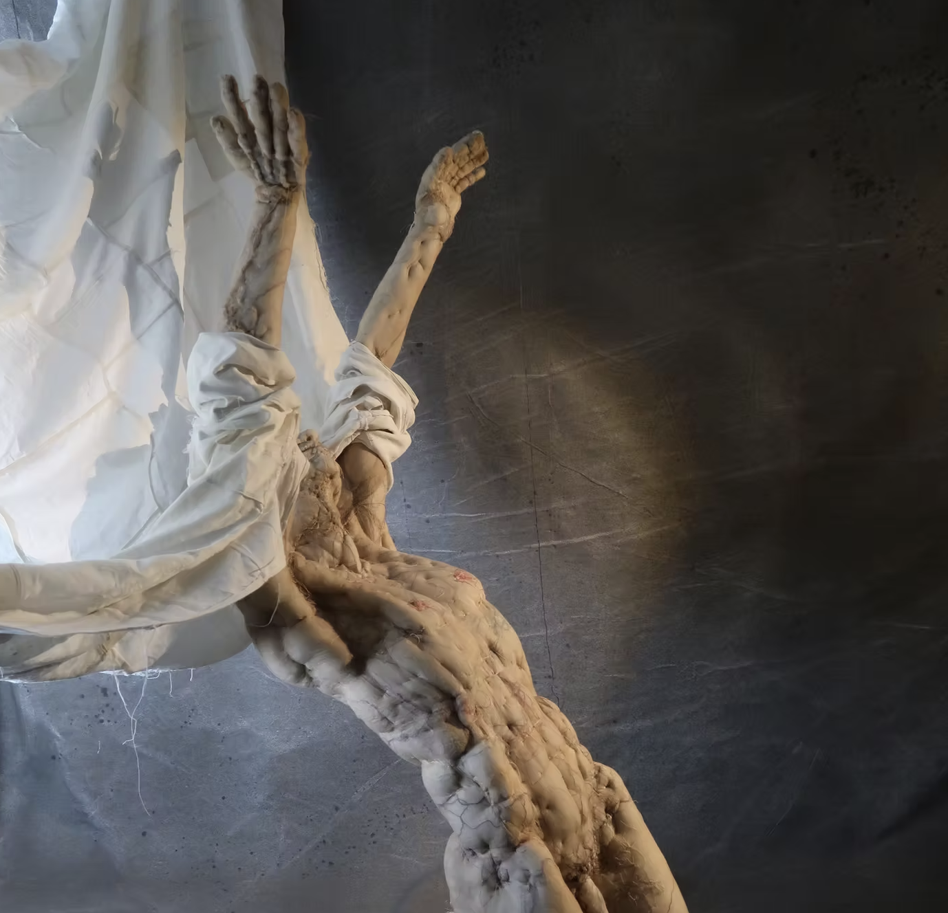 Capture d’écran 2026-02-11 à 17.05.12.png