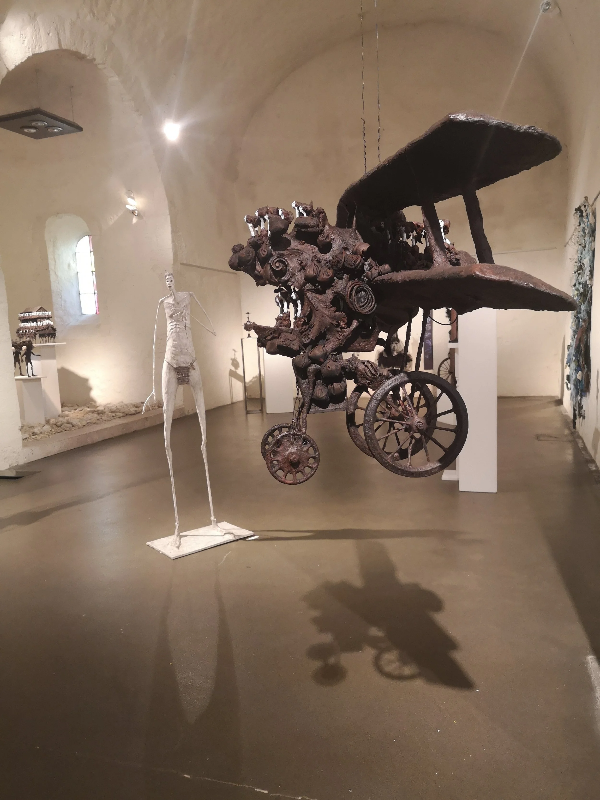 12. L'Avion bis H50x L110x l 63- 3000€.jpg