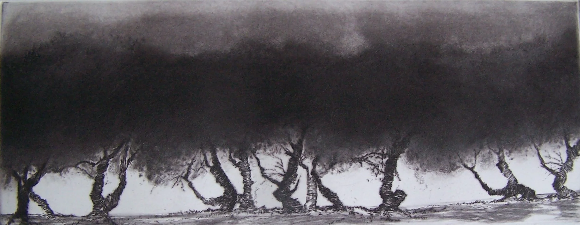 Tamaris en clair-obscur 38x15cm v.loiseau.JPG